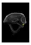 Bilde av POC Ventral Air MIPS